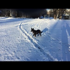 Meet your Posher, Gina